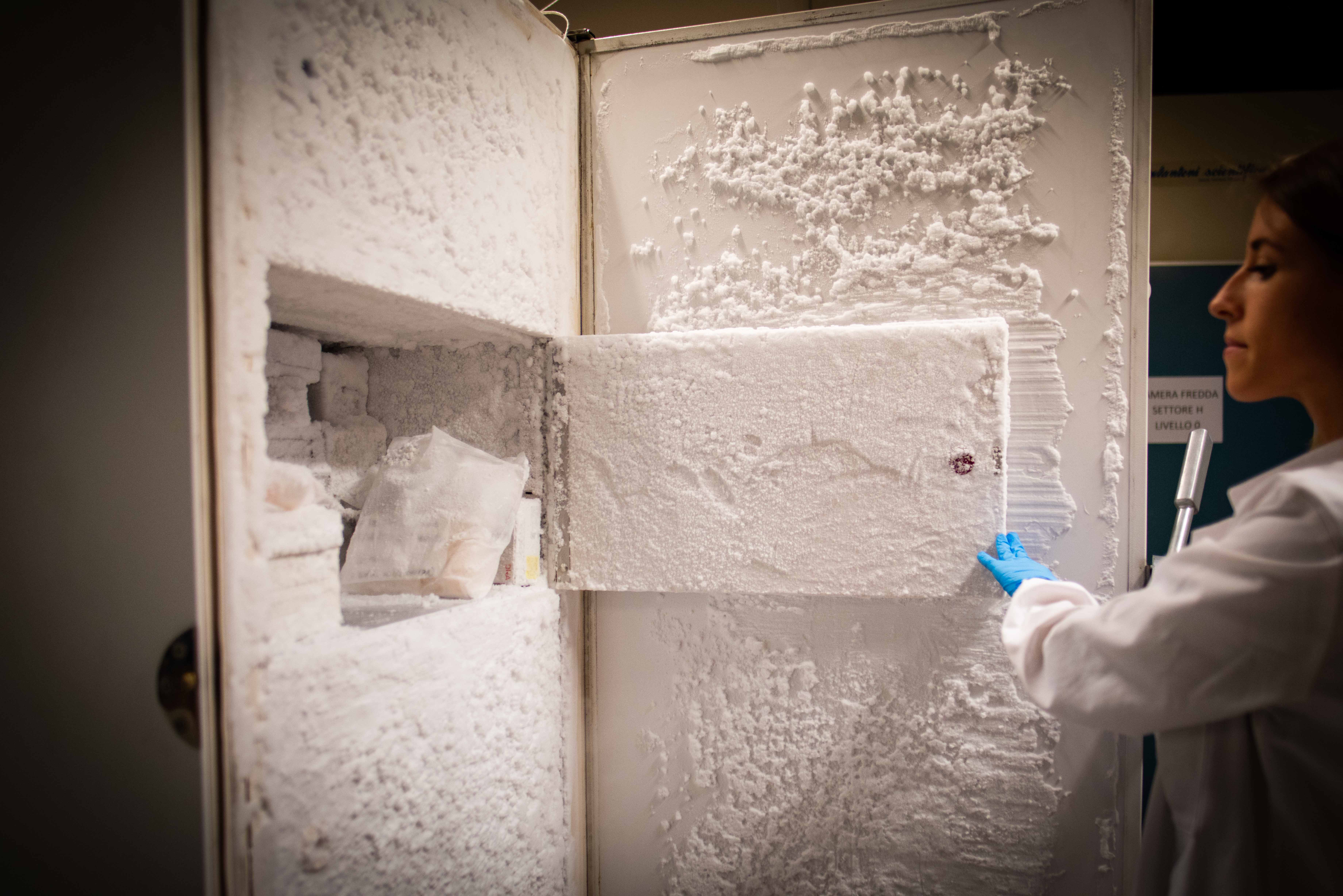 gallery Dipartimento di Biologia