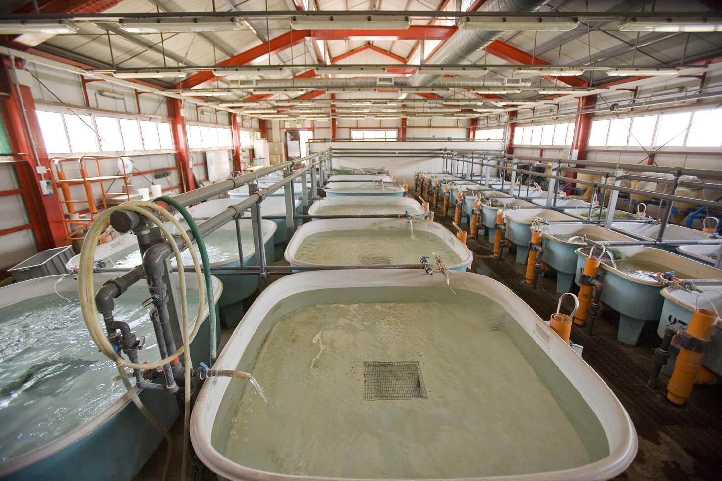 gallery Dipartimento di Biologia