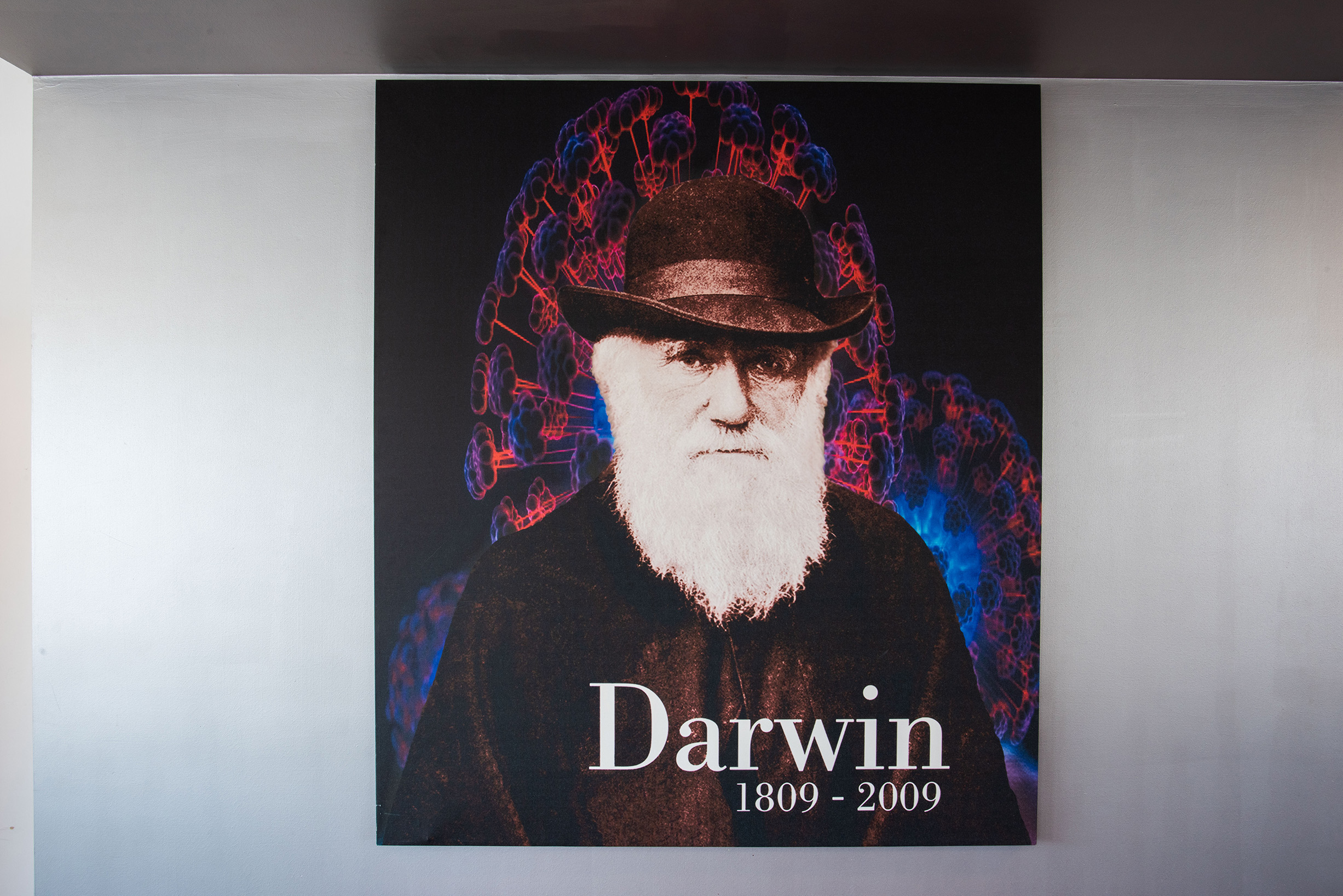 gallery Dipartimento di Biologia