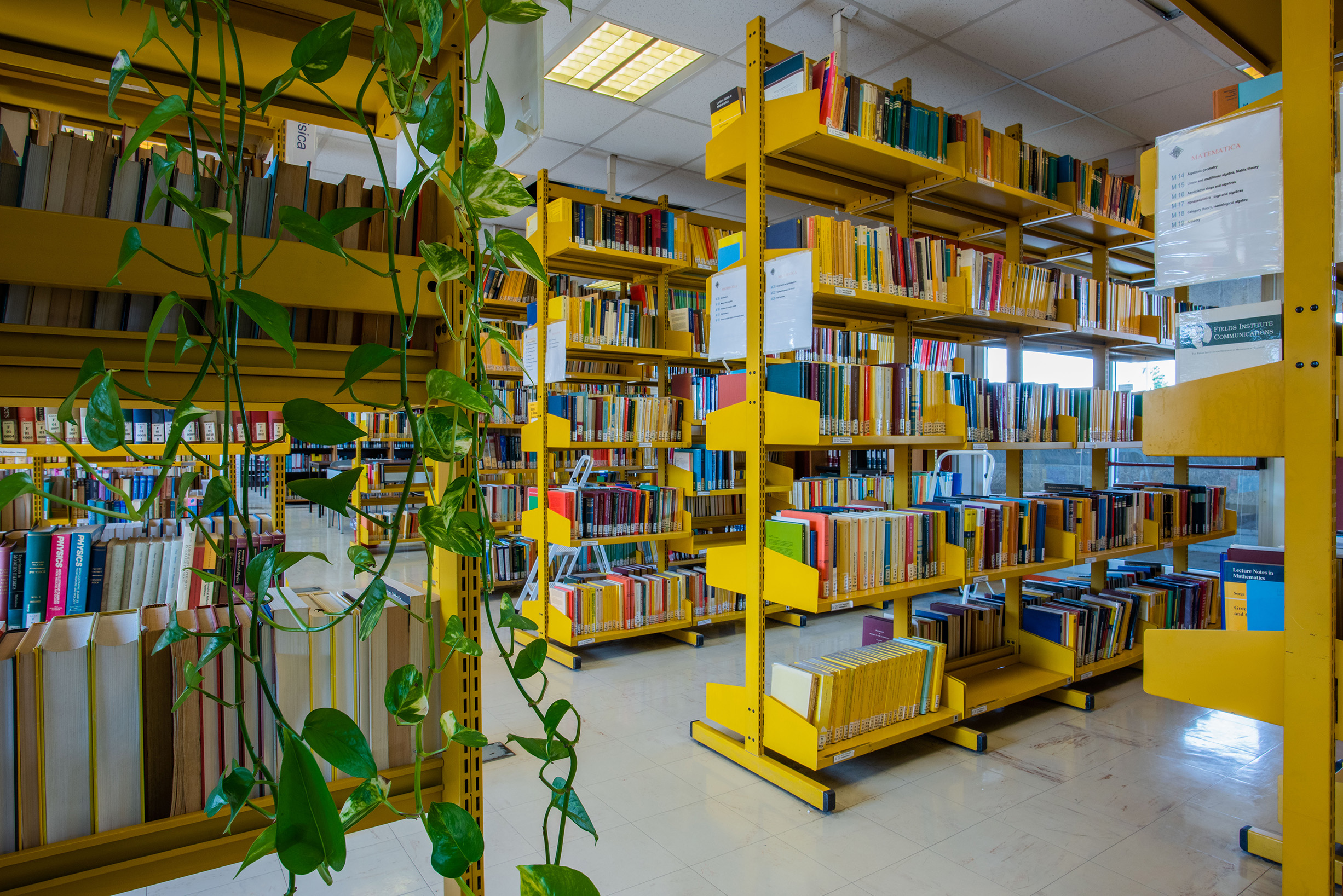 gallery Dipartimento di Biologia