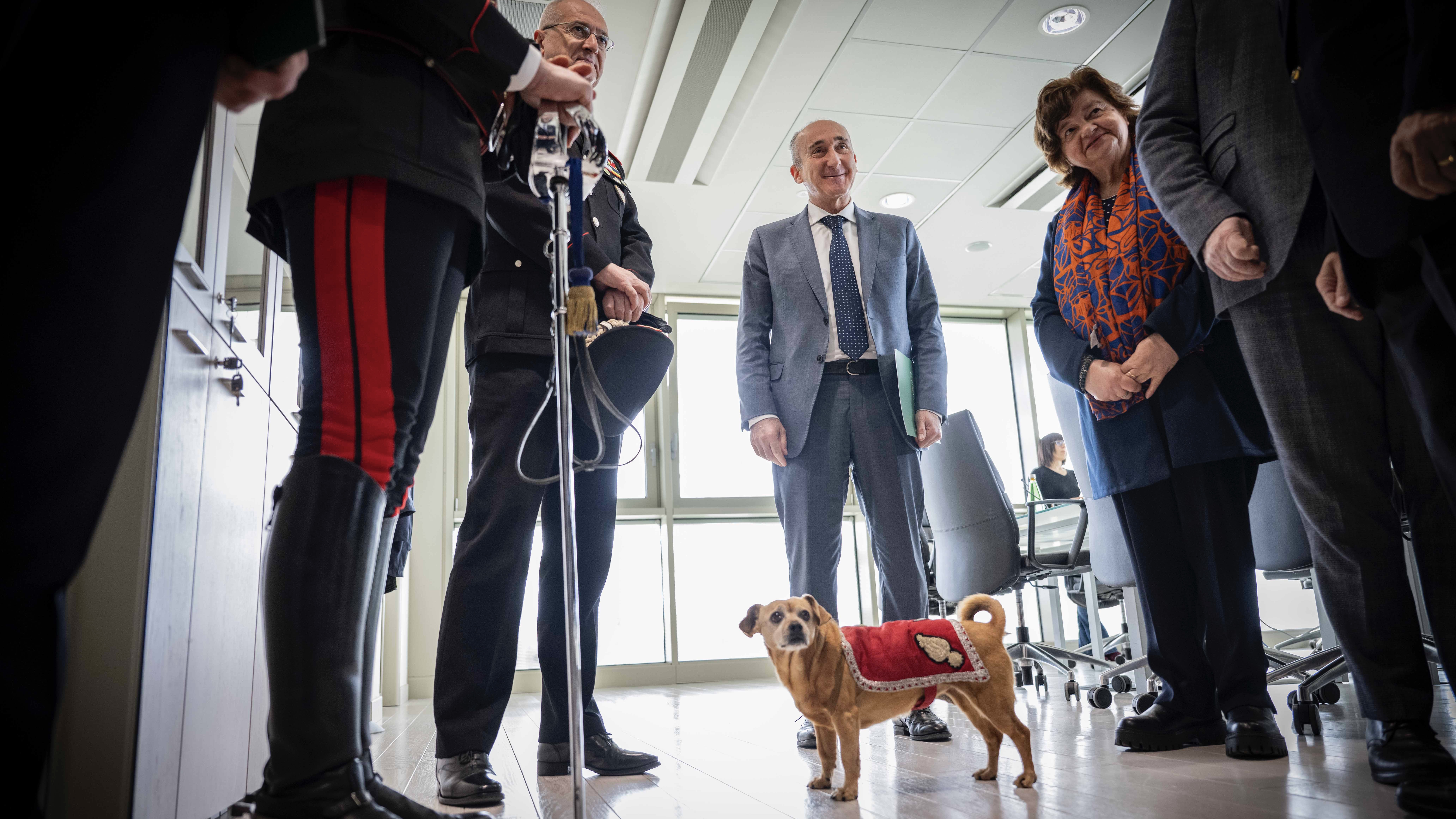 gallery Il Boschetto della Speranza: nuove specie arboree all'Orto botanico nel segno della sostenibilità