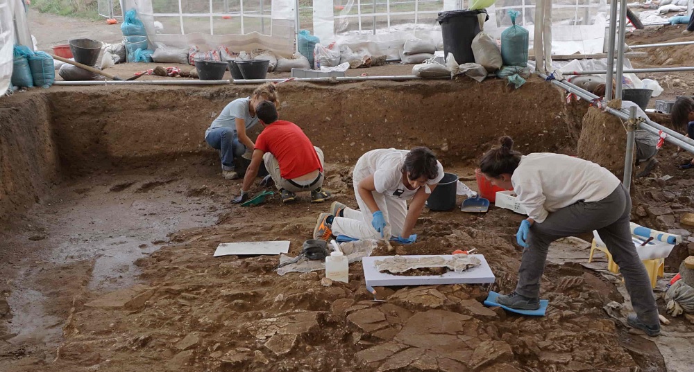 Immagine per Art Bonus per la Villa delle “Terme degli stucchi dipinti”
