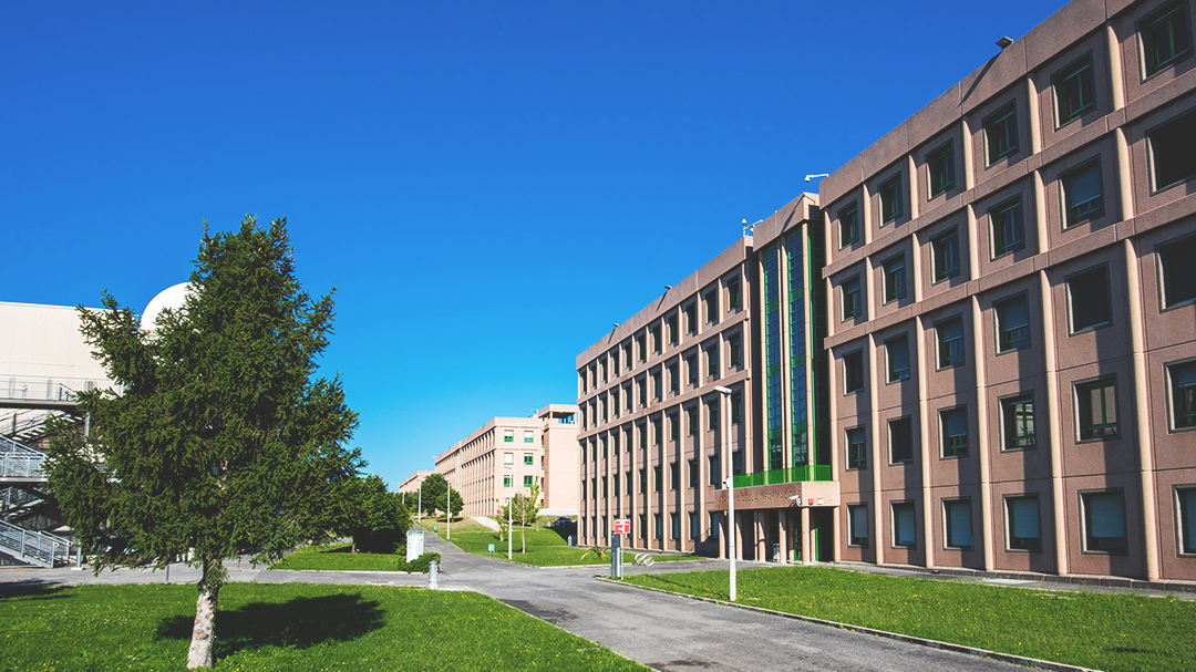 Immagine per School of Engineering