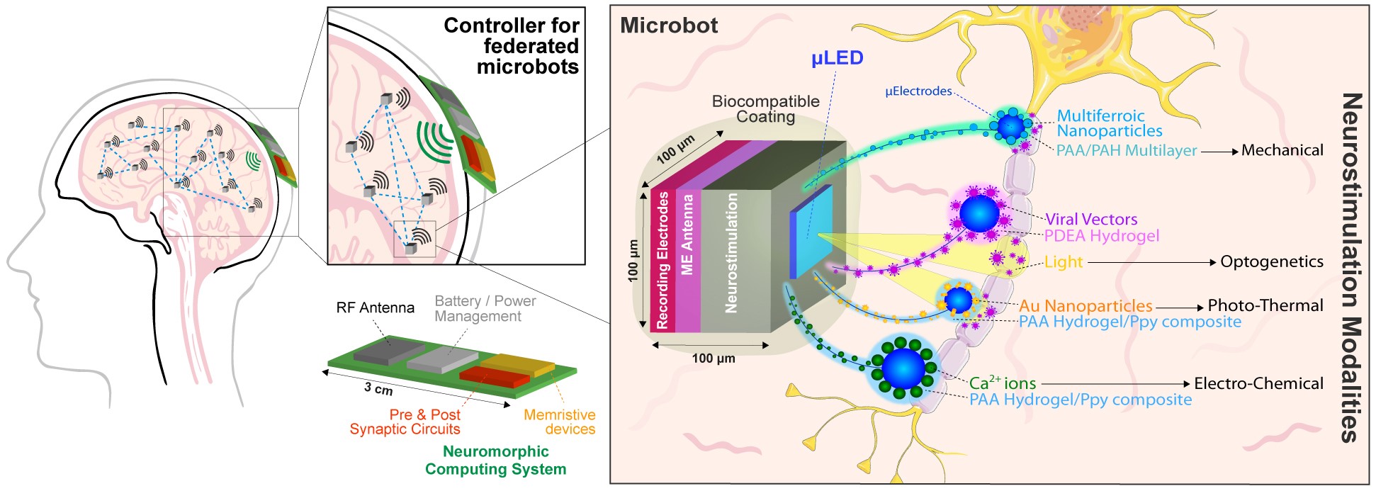 CROSSBRAIN progetto europeo: microbot iniettati, contro i cortocircuiti ...