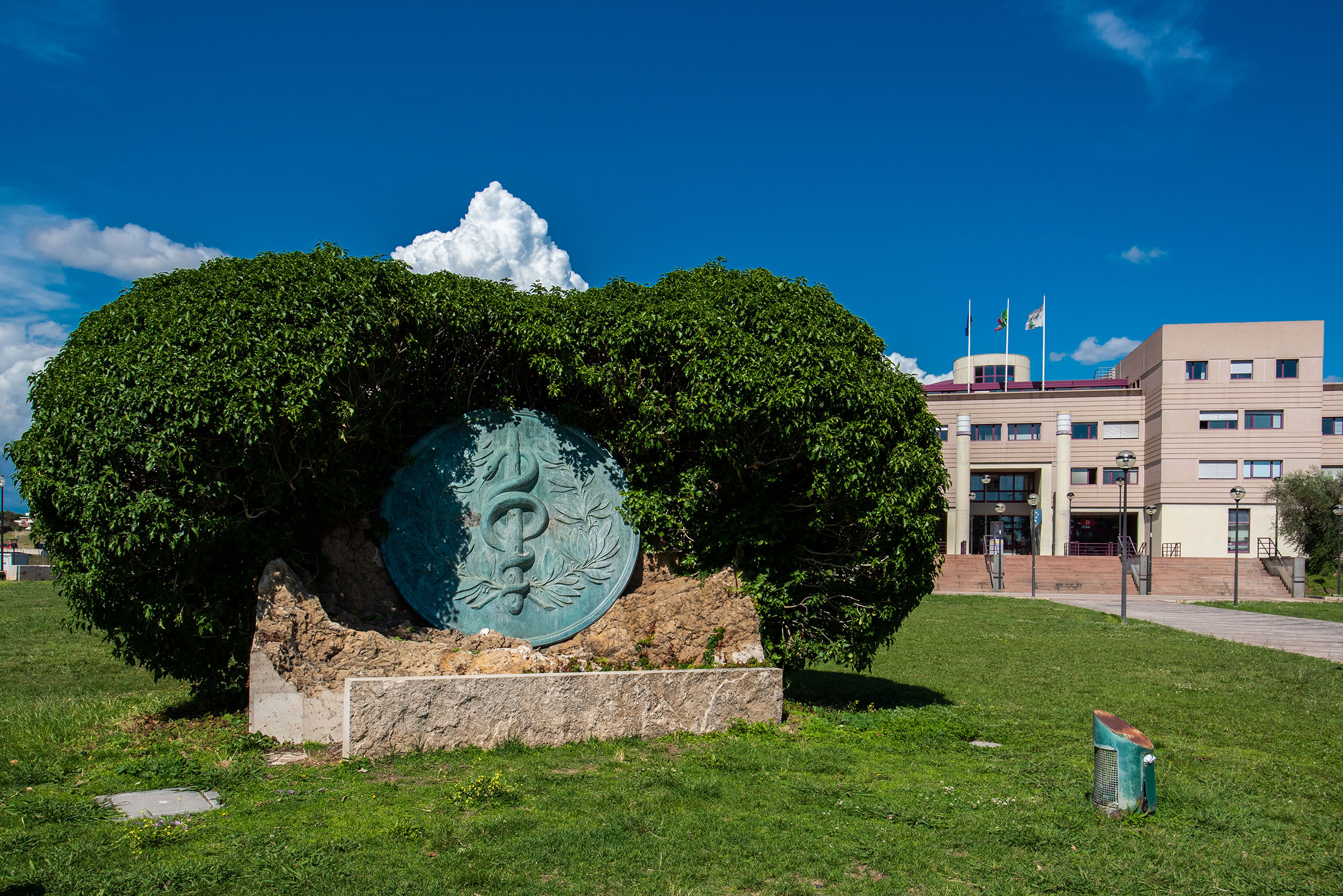 gallery Dipartimento di Scienze Chirurgiche