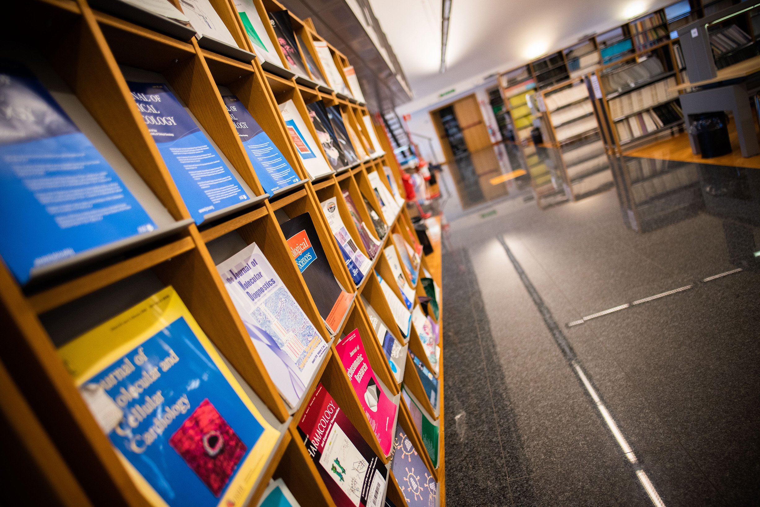 gallery Biblioteca dell'Area Biomedica - Paolo M. Fasella